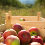 Ökologische Landwirtschaft, Streuobstwiesen, Nachhaltigkeit, Demeter, Bioland