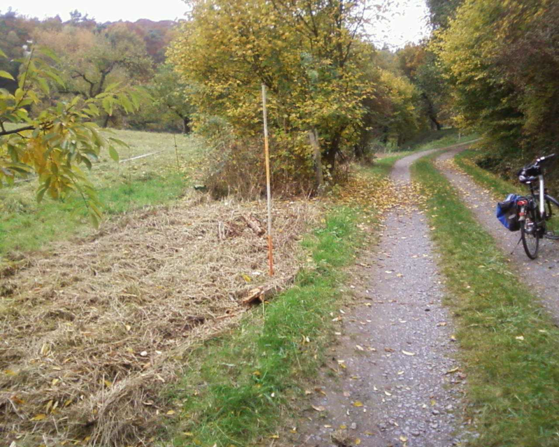 Biotop, Höchst, Odenwald, BUND, Hecke, Zerstörung, Landratsamt