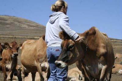 Schülerpreis, ökologische Landwirtschaft, artgerechte Tierhaltung, Tierschutz, Lebewesen, Respekt, Kunst, Tierhaltung, Schule, Ethik, Biologie, Kunst, Gesellschaftslehrer, Lehrer