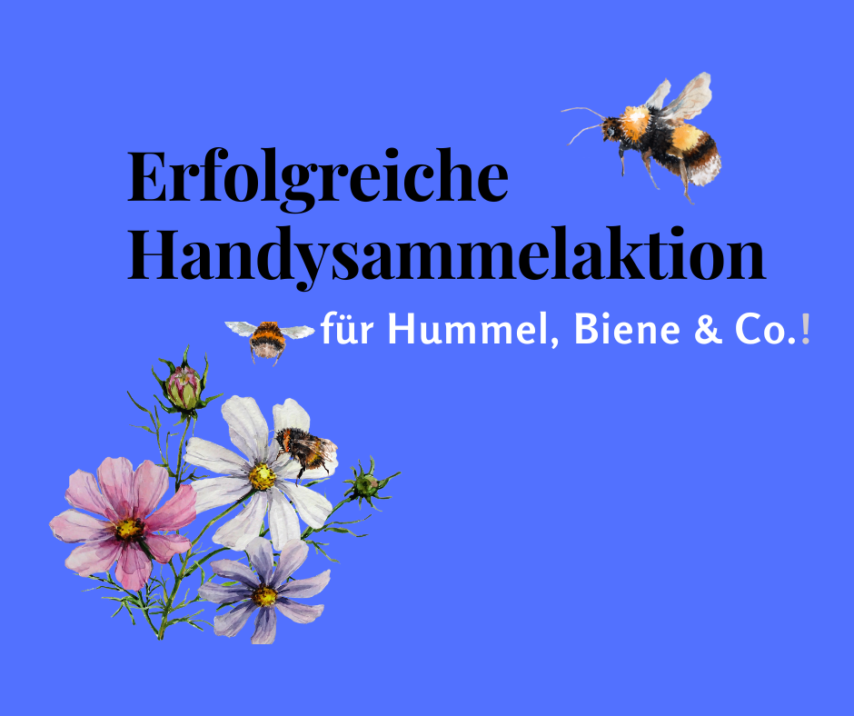 Grüne Odenwaldkreis: Erfolgreiche Sammelaktion „Handys für Hummel, Biene & Co.“