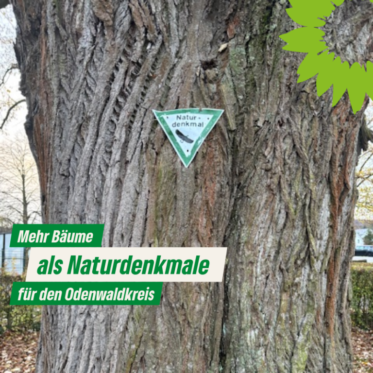 Mehr Bäume als Naturdenkmale für den Odenwaldkreis.