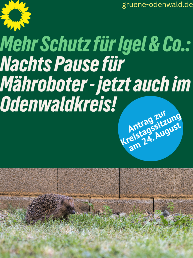 Kleine Maßnahme, große Wirkung: GRÜNE fordern nächtliche Ruhezeiten für Mähroboter zum Schutz von Igeln und Co